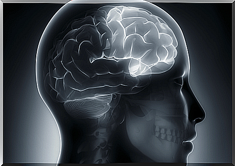 Frontal lobe epilepsy: origin, symptoms and characteristics