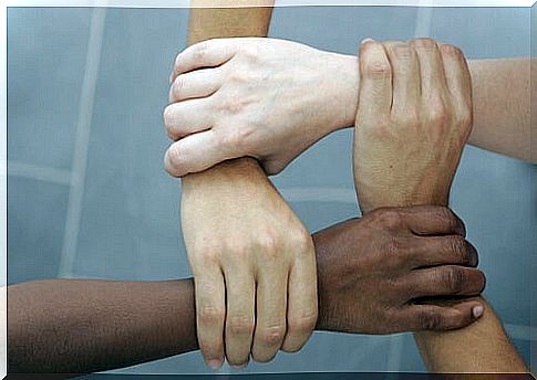 Hands of different people united