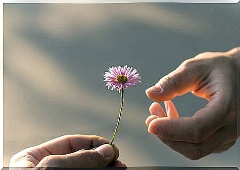 Person giving a flower to another to represent the Neurobiology of compassion