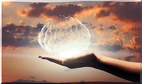 Hand holding a brain representing the neurobiology of compassion