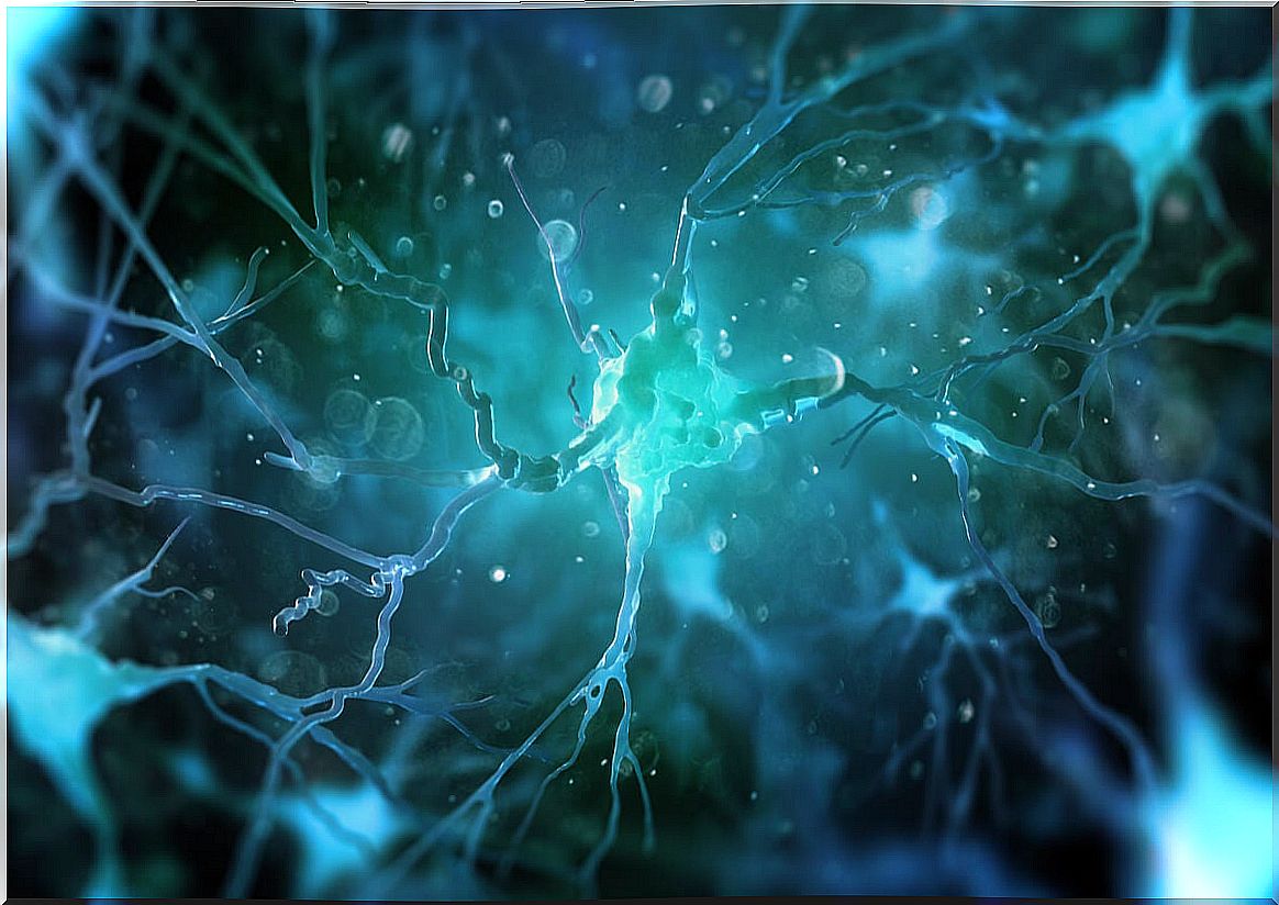 Neural stem cells representing the neurobiology of forgiveness