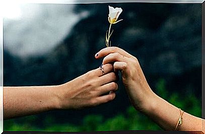 Hands holding flower symbolizing the principles of reciprocity