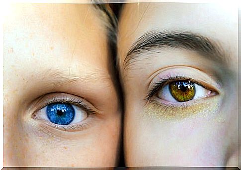 The relationship between eye color and personality, according to a study