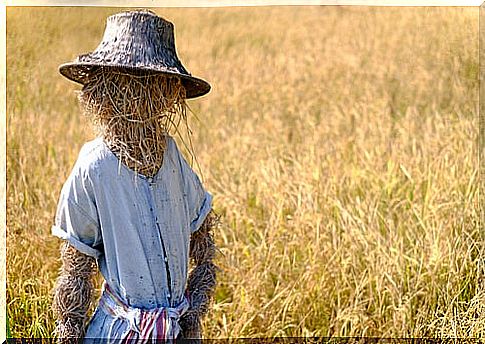 The straw man fallacy