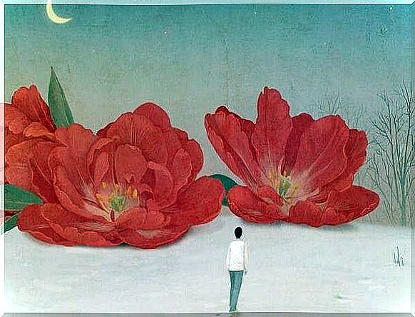 man moving towards two big red flowers